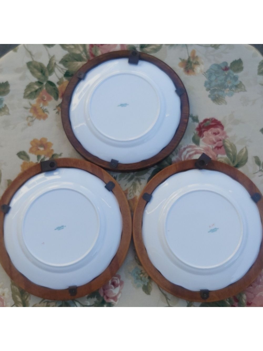 Vintage Copelands Grosvenor Spode English China Fruit Wall Plate Set Wood-Framed - Picture 13 of 17